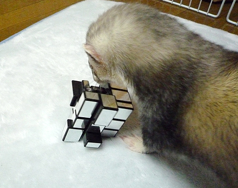 攻略法はないの？