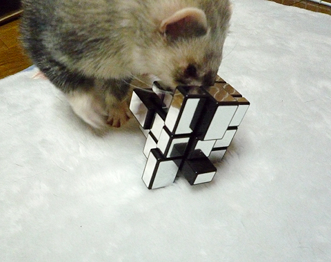 ピカピカしてきれい