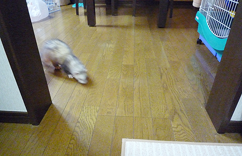 遠くにいてもサッと行く