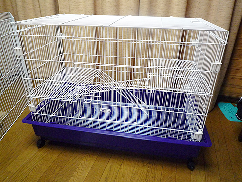 大型ケージが来た！