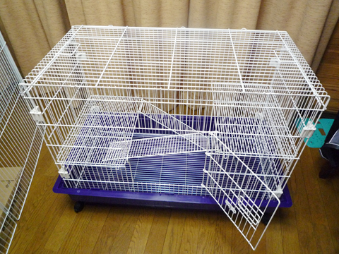 上に行ったり下に行ったり