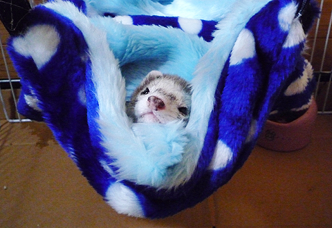 モゾモゾモゾ…