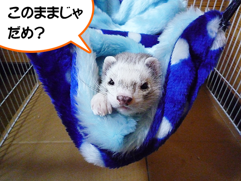 このままじゃダメですか？