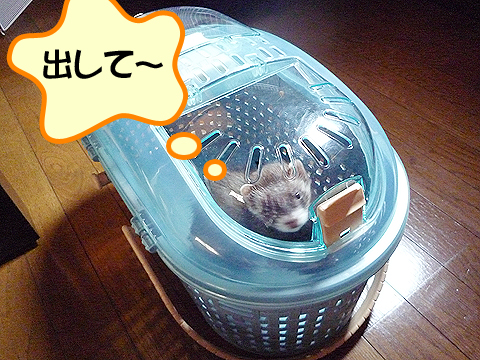 やっぱり狭いね