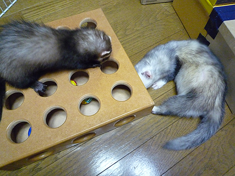 こっち側から攻略だ