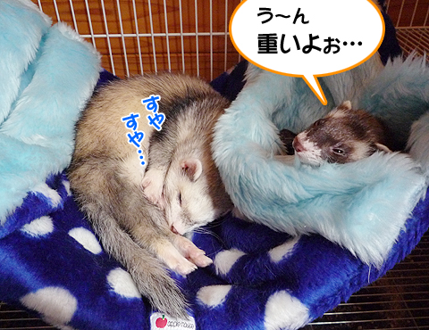 お兄ちゃん、重いよう