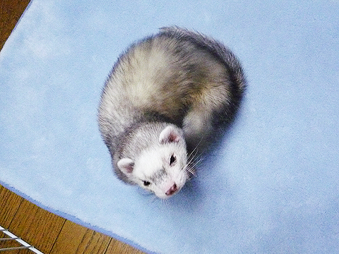 首の後ろが痒い…