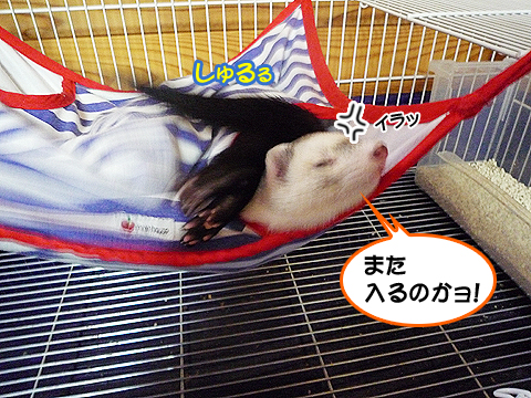 意味もなく出入りするな！