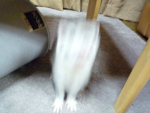 ボ、ボクの上半身が