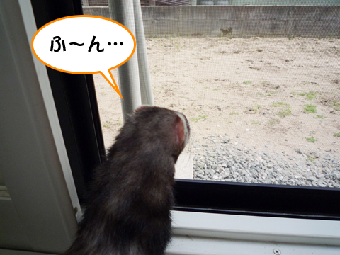 これが外ですか…