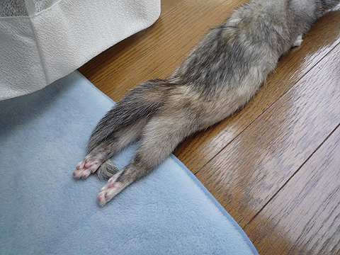 ズリズリズリ…