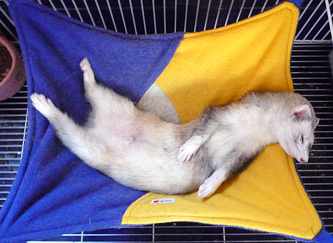 寝るしかないです