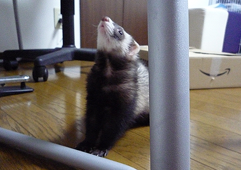 あったとしても取れそうにないね