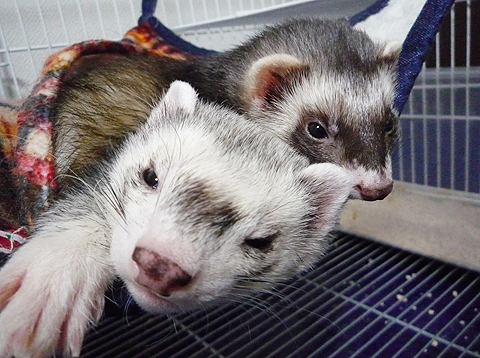 うん？ムニャムニャ