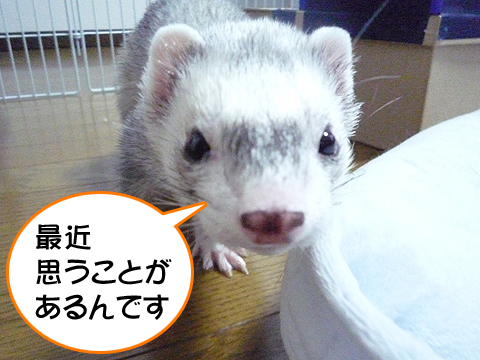 最近思うことがあります