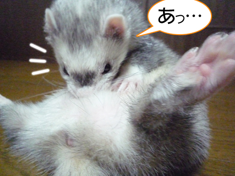 お股、おっぴろげ?