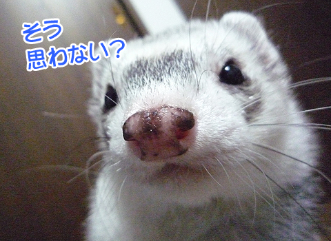 ゴゴゴゴゴゴゴ！！！！