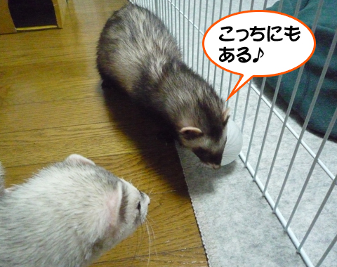 こっちにもありました