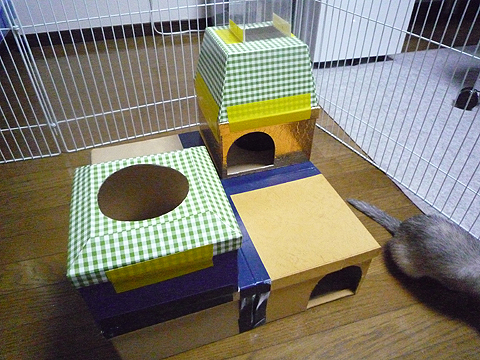 いつもの秘密基地