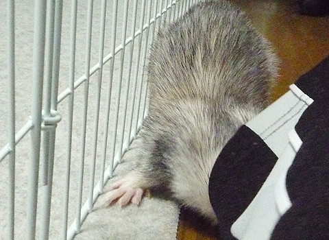 こっちはどうかな?？