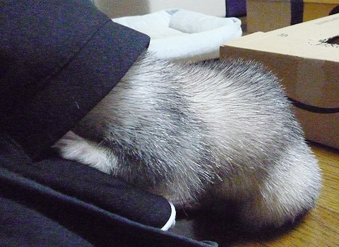 グイグイ行きますよ?