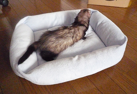 洗濯のいい臭いもします