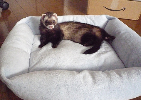 渡さない、絶対に!!