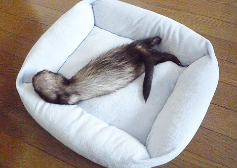 ワタシの活躍で平和になったわ