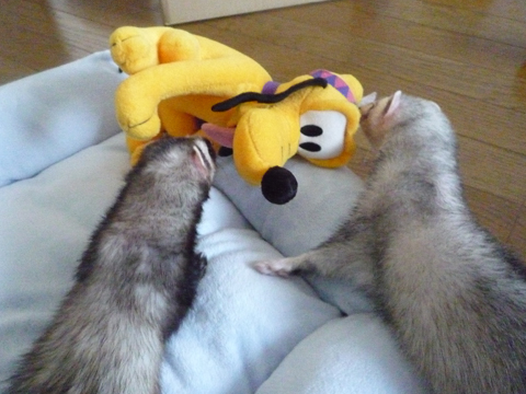 これでどうだ！