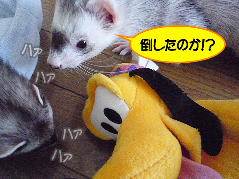 手間をかけさせやがって…