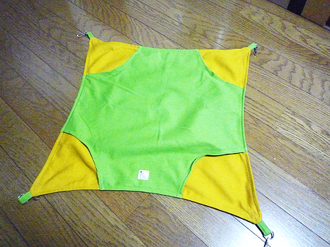 ちょっと大きめ