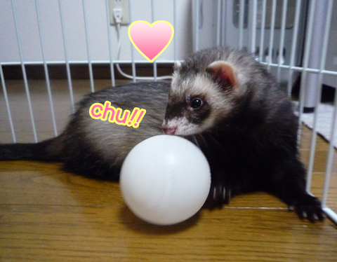 ボールが愛おしいワァ