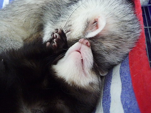 見て、この口元