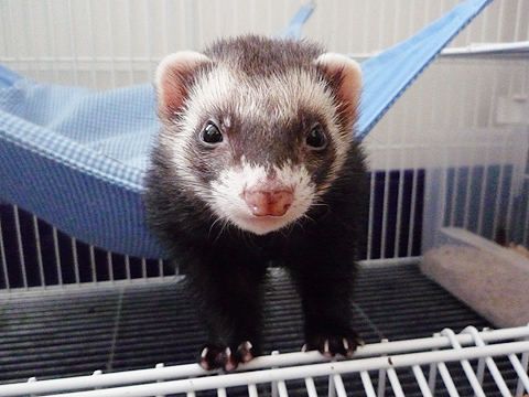 もう?、タロウ兄ちゃんったら