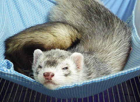 相変わらずこの部屋は快適です