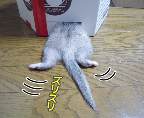 うんしょ、うんしょ