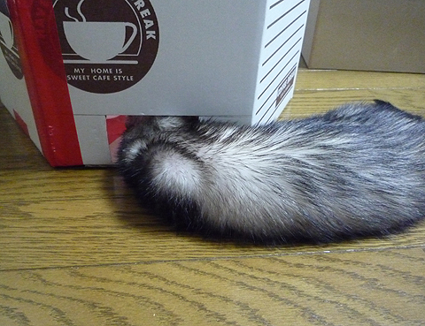 ちょっとおデブなワタシはムリかなぁ…