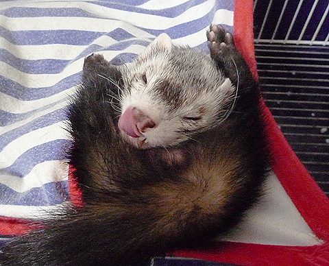 早くどいてよぉ?