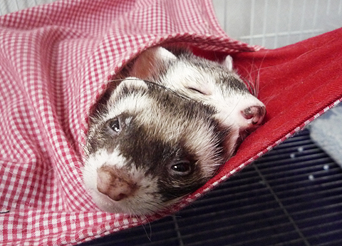 う?ん、狭いなぁ…