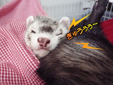 く・く・苦しいッ！