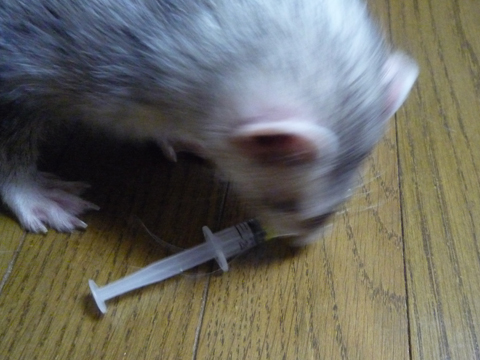 ええいっ、こうしてやる！