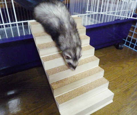 ちょっと勾配が急かもね