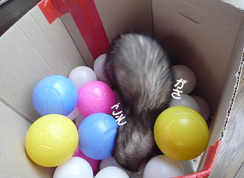 たしか、この奥に…