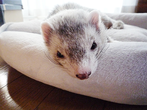 でも疲れましたね