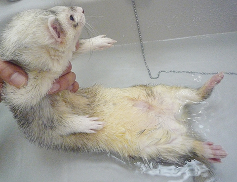 もうあきらめるしかないです