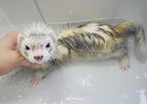 もう少しの辛抱です