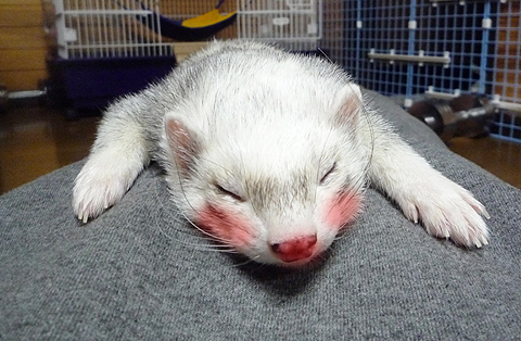 よっこらしょ、っと