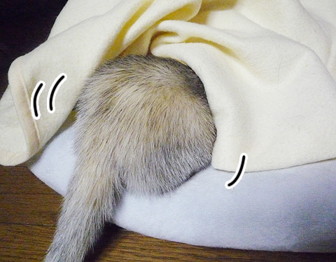 それともこっちかな？