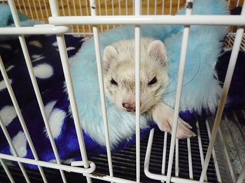 言うの忘れてましたけど…