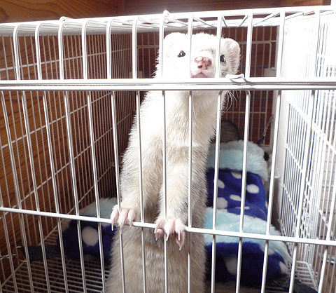 地道な努力こそ成功への近道